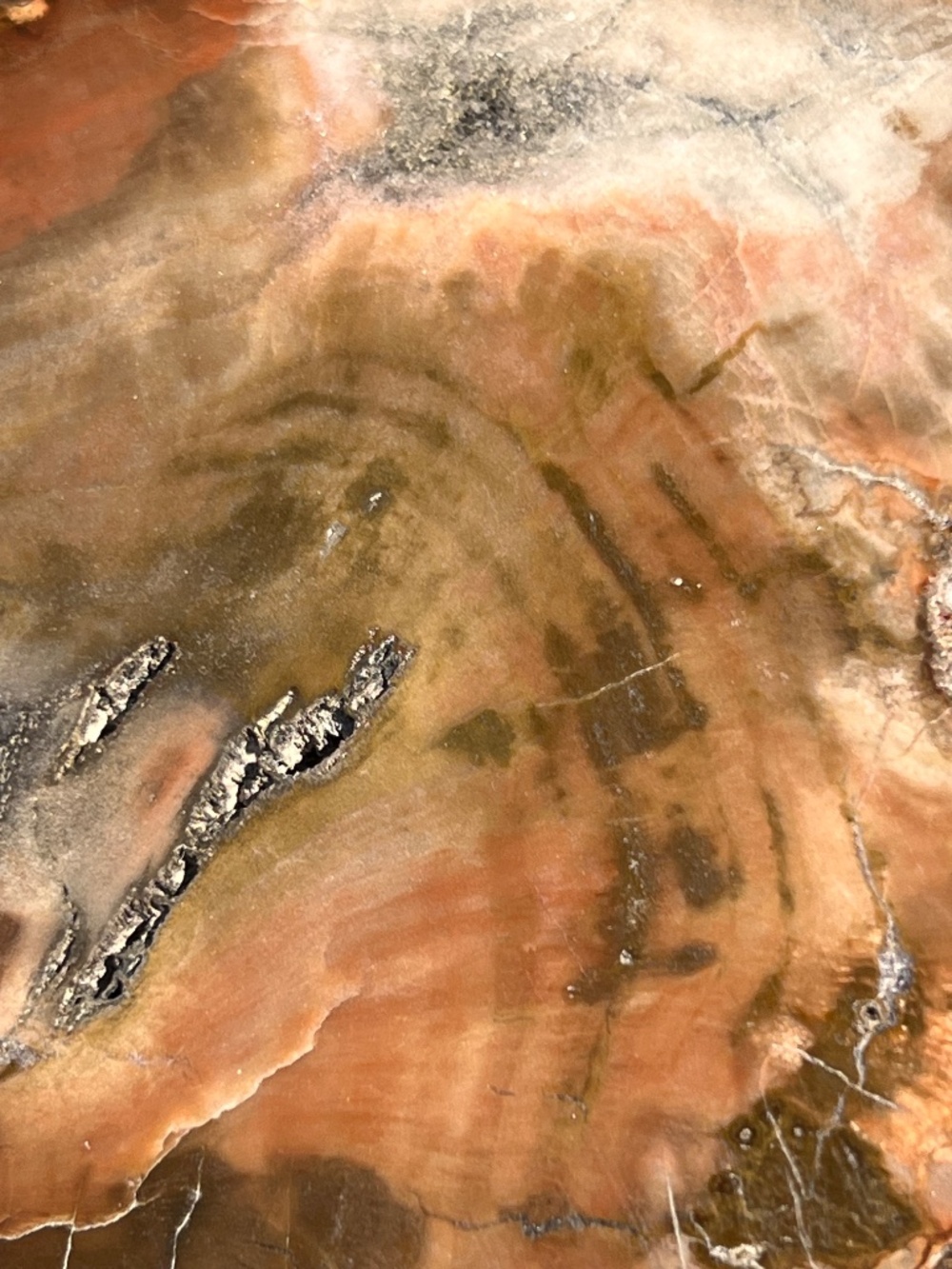 Petrified (10) wood slab with stand | crystal - Picture 12 of 17